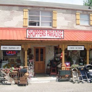 Meet your Posher, Carol